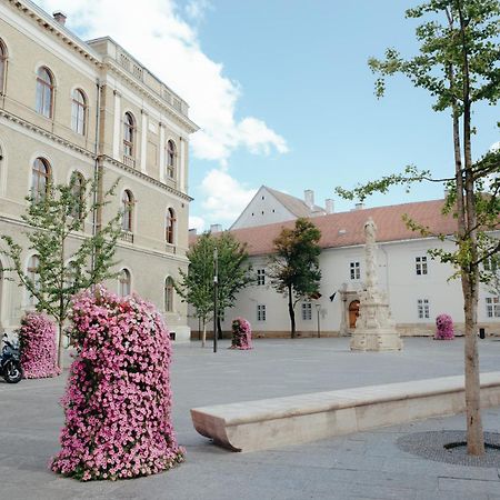 Bethlen Central Studio Cluj-Napoca Buitenkant foto