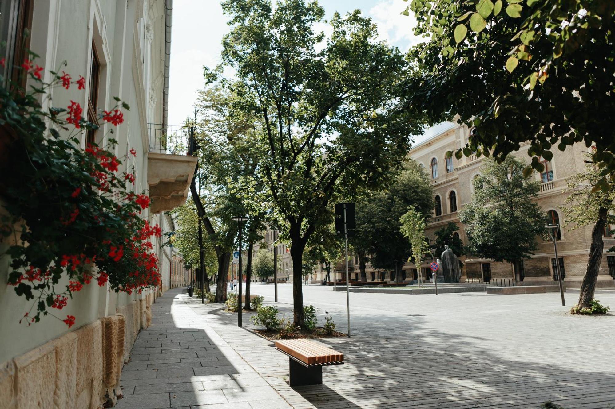 Bethlen Central Studio Cluj-Napoca Buitenkant foto