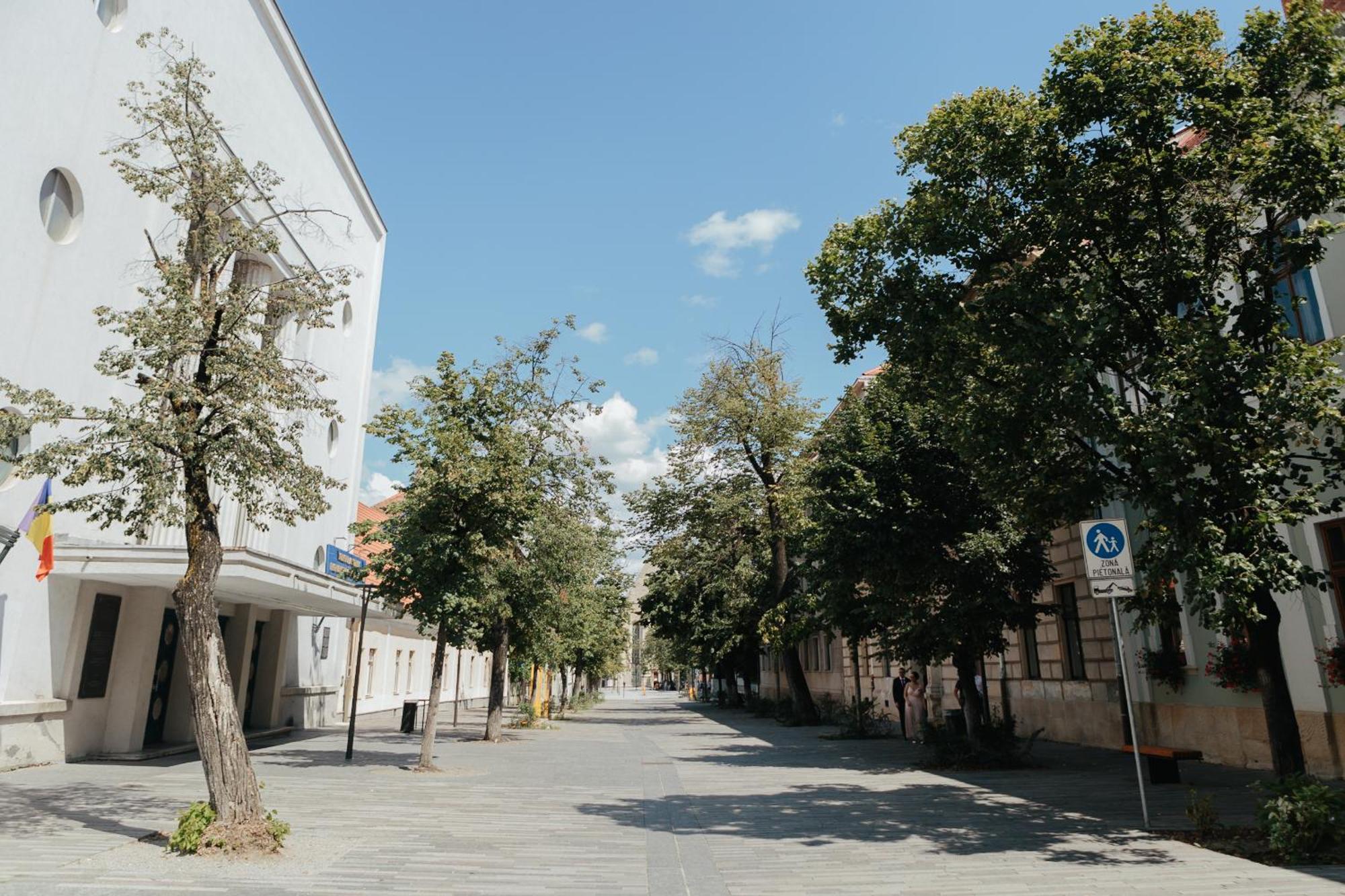 Bethlen Central Studio Cluj-Napoca Buitenkant foto